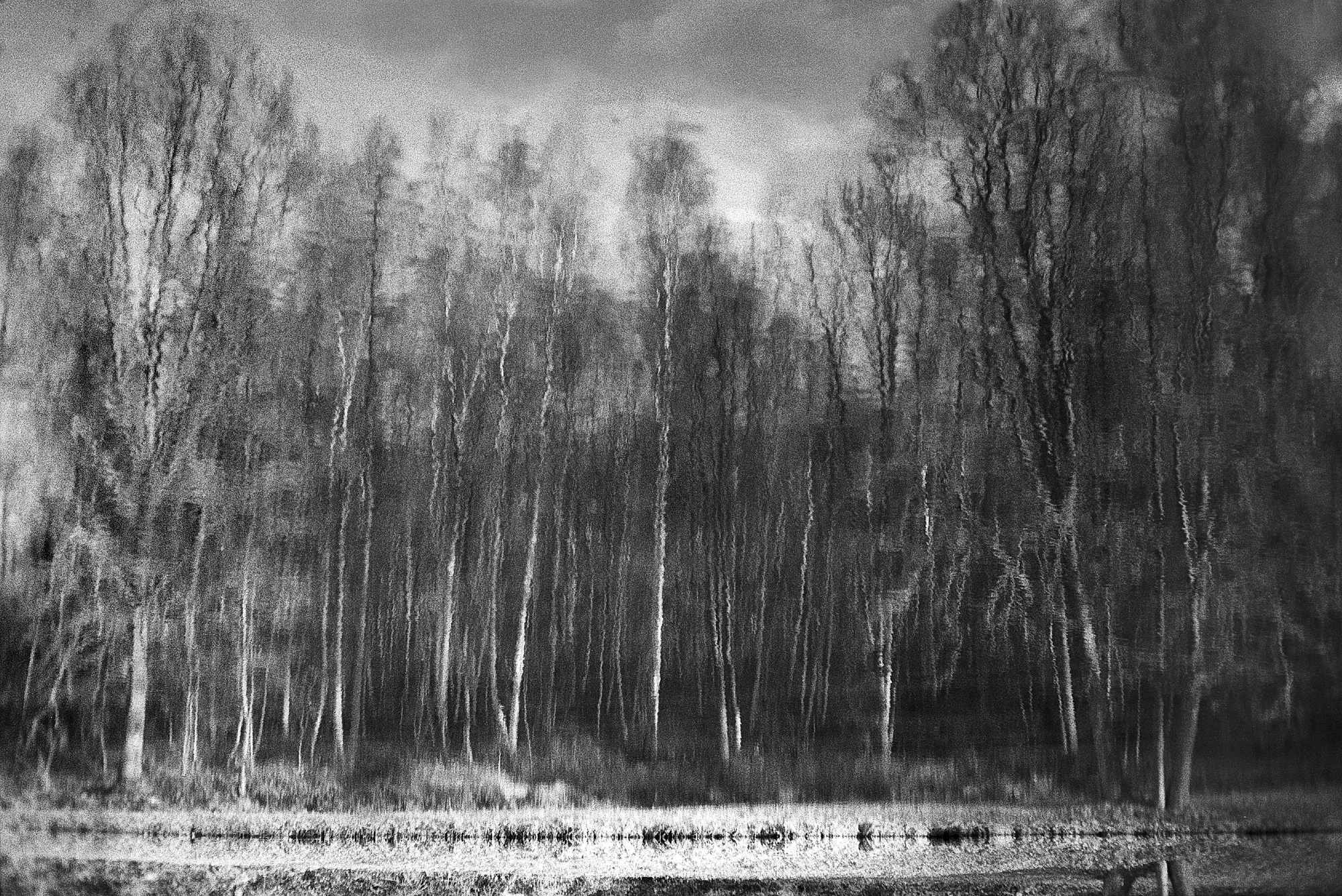 Vkl 2019 02 22 Leica M6 7Artisans 50 APX100 (7)